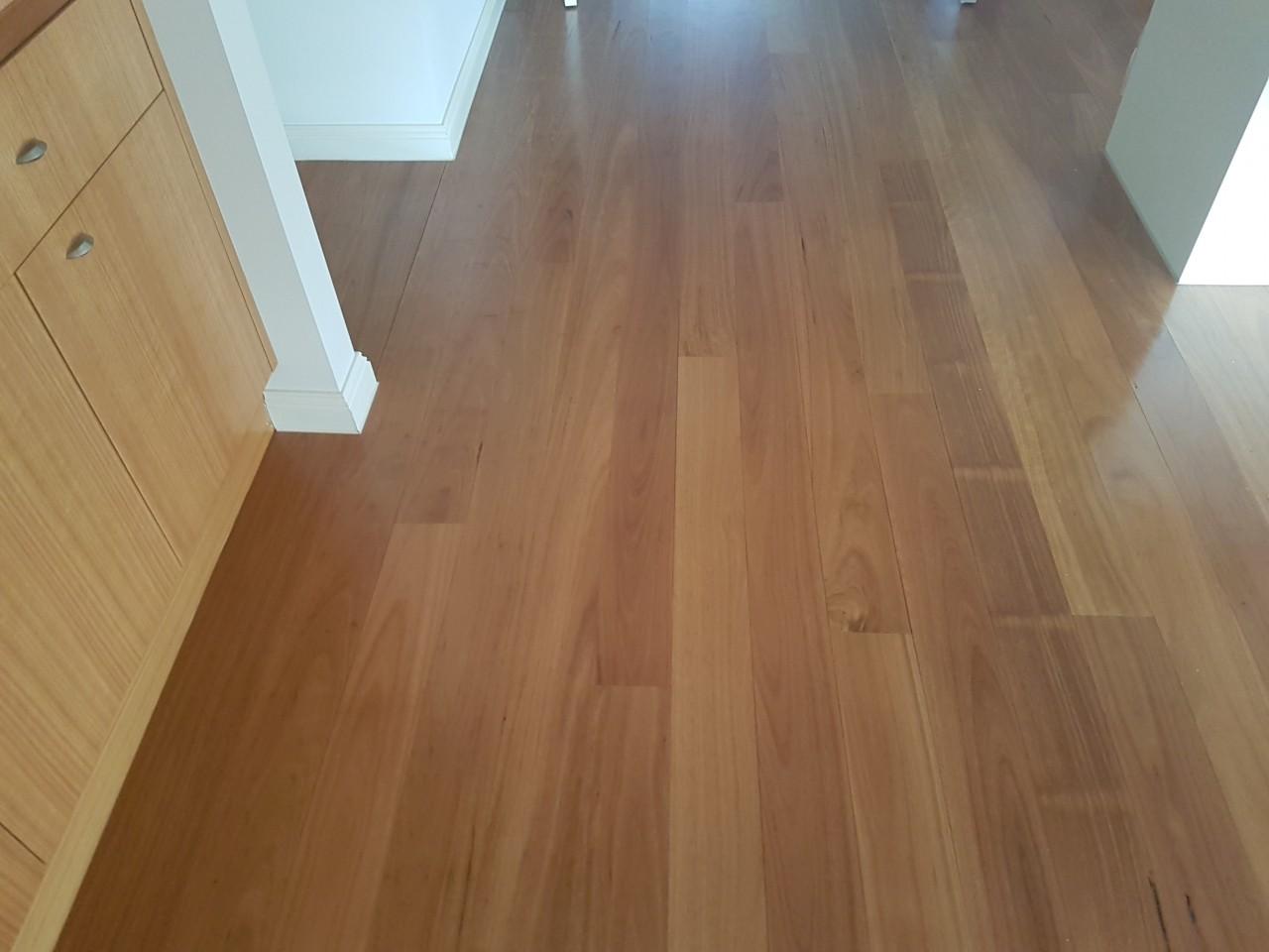 Blackbutt Timber Flooring